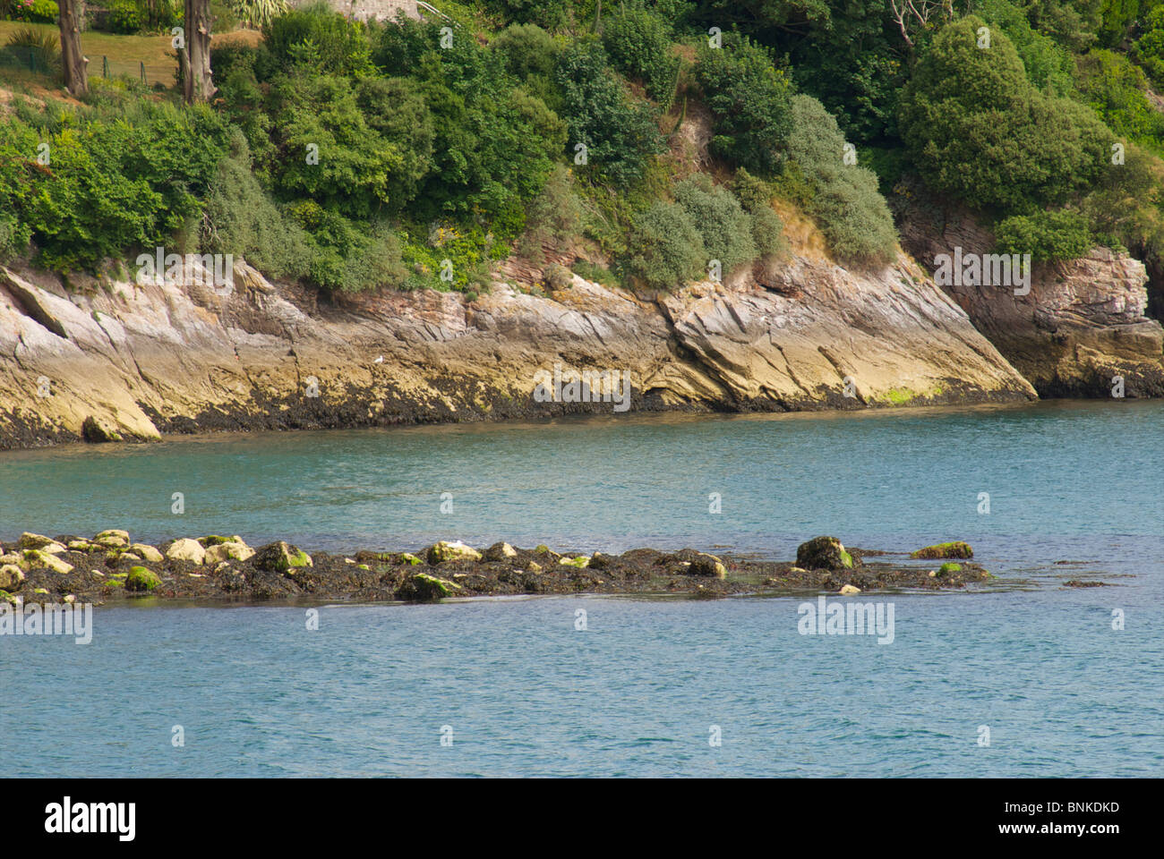 Le rocce che mostra la gamma di marea Foto Stock