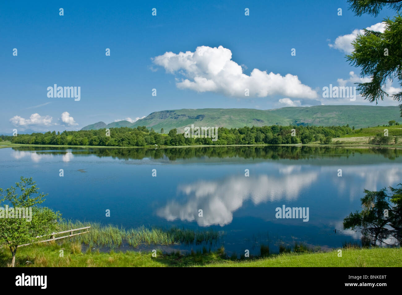 Loch Ardinning e Campsie Hills da nr Strathblane distretto di Stirling Scozia Scotland Foto Stock