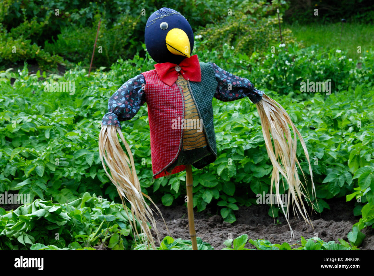 Scopo spaventapasseri falsa figura di uccello blu di testa una protezione per gli occhi scortese scoraggiante difendere efficacemente arguzia ironicamente Gillet Foto Stock