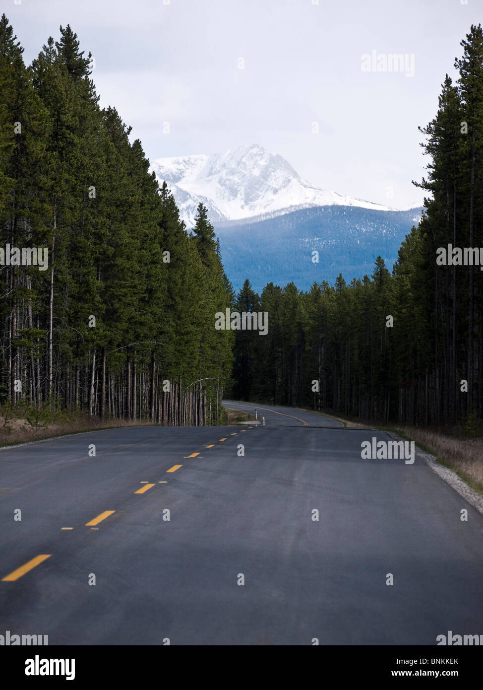 Il Bow Valley Parkway scenic route 1A Parco Nazionale di Banff Alberta Canada Foto Stock