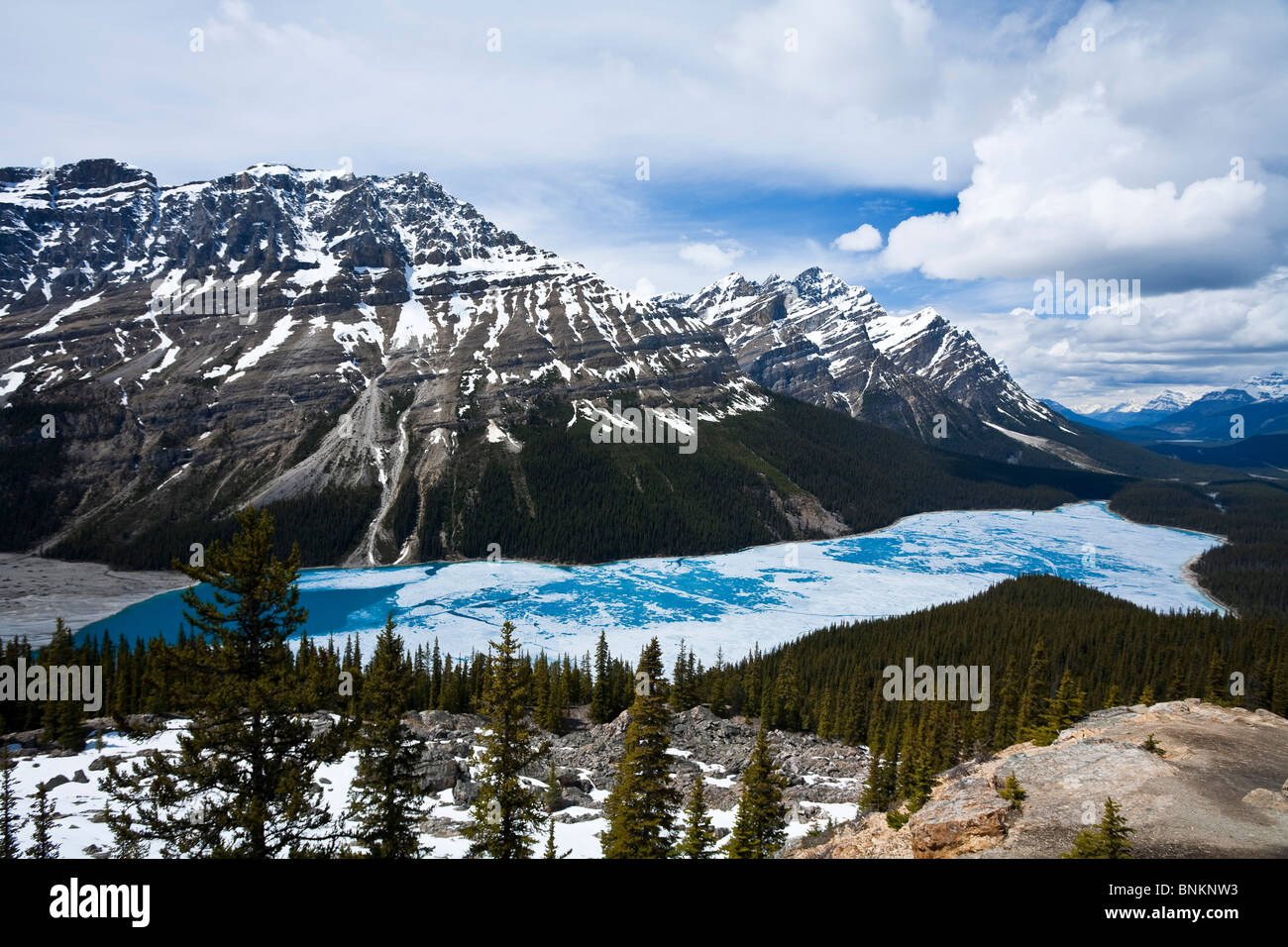 Parzialmente congelato il Lago Peyto chiamato dopo Bill Peyto visto dal Vertice di prua Icefields Parkway il Parco Nazionale di Banff in Canada Foto Stock