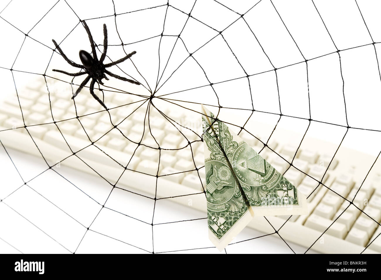 Spider Web e dollaro, business online concetto, rischio, sicurezza Foto Stock