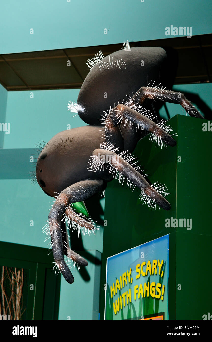 Un modello gigante di scary spider. Foto Stock