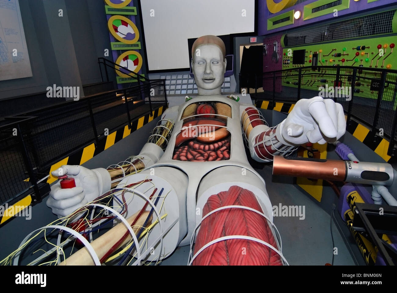 Scocche presentano con Tess 50 piedi simulatore del corpo al California Science Center di Los Angeles. Foto Stock