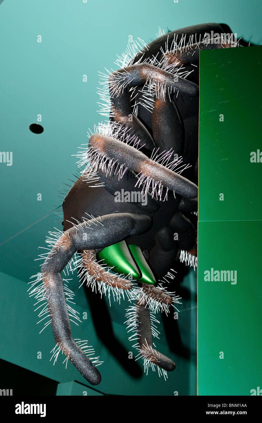 Un modello gigante di scary spider. Foto Stock