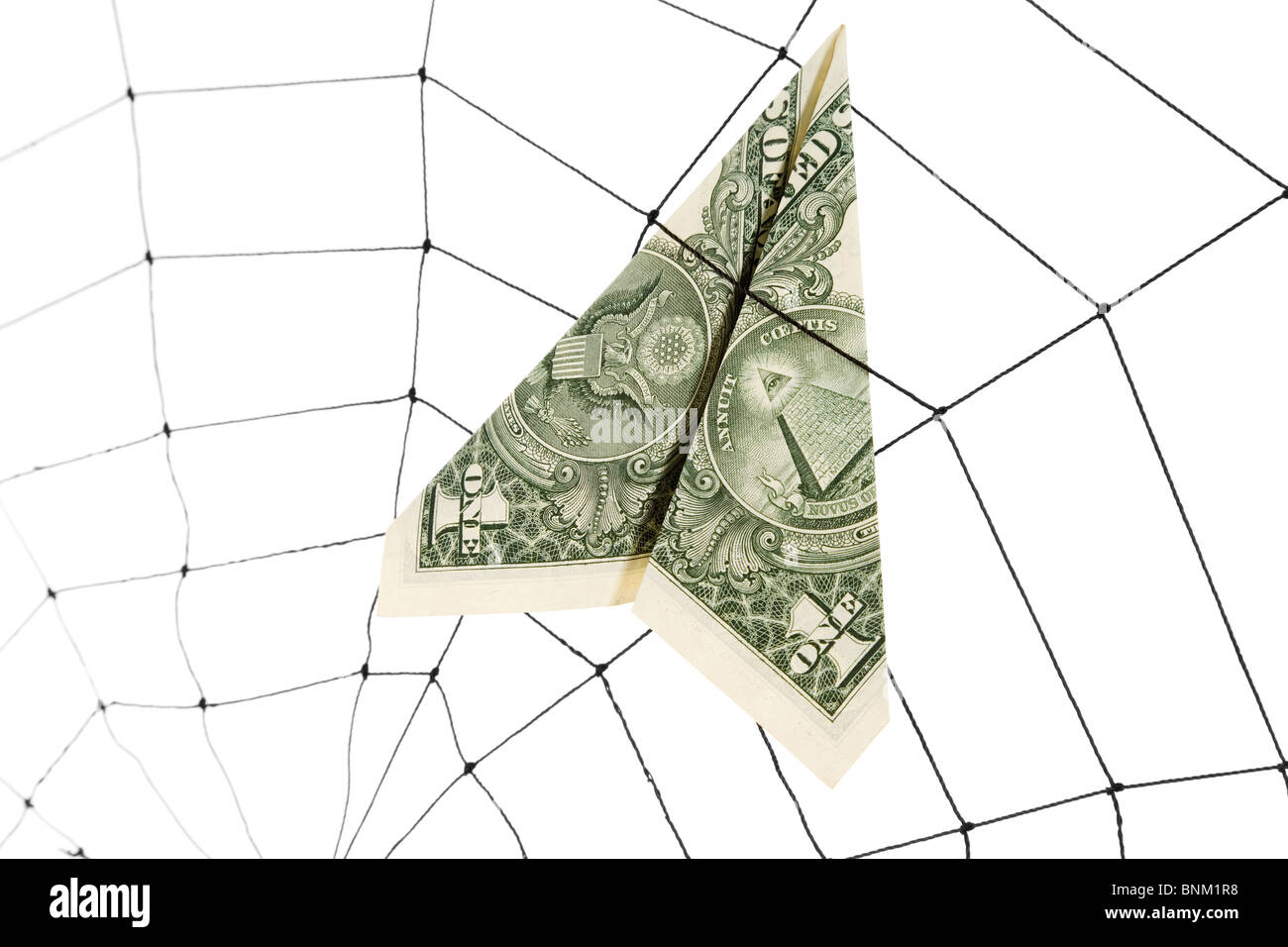 Spider Web e il dollaro, il concetto di affari Foto Stock