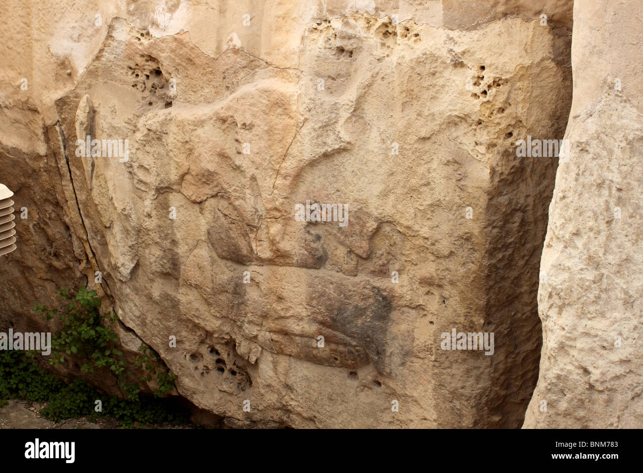 'Bull e seminare' sculture in pietra, tempio del neolitico (3000-2500BC), Tarxien, centrale di Malta, Mediterraneo, Europa Foto Stock