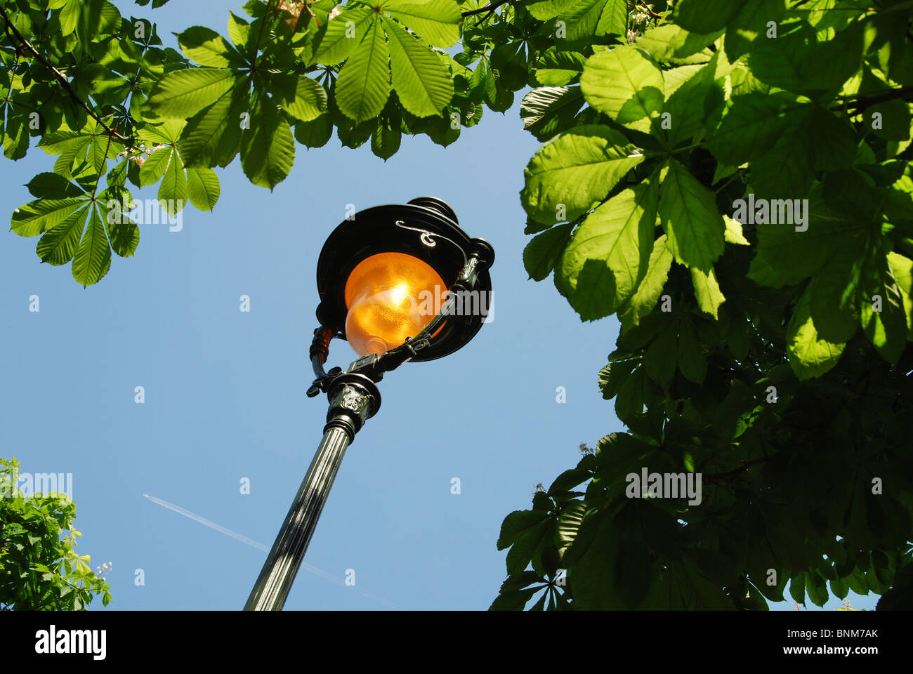 Lampada posta in giardini Tuileries Parigi Francia Foto Stock