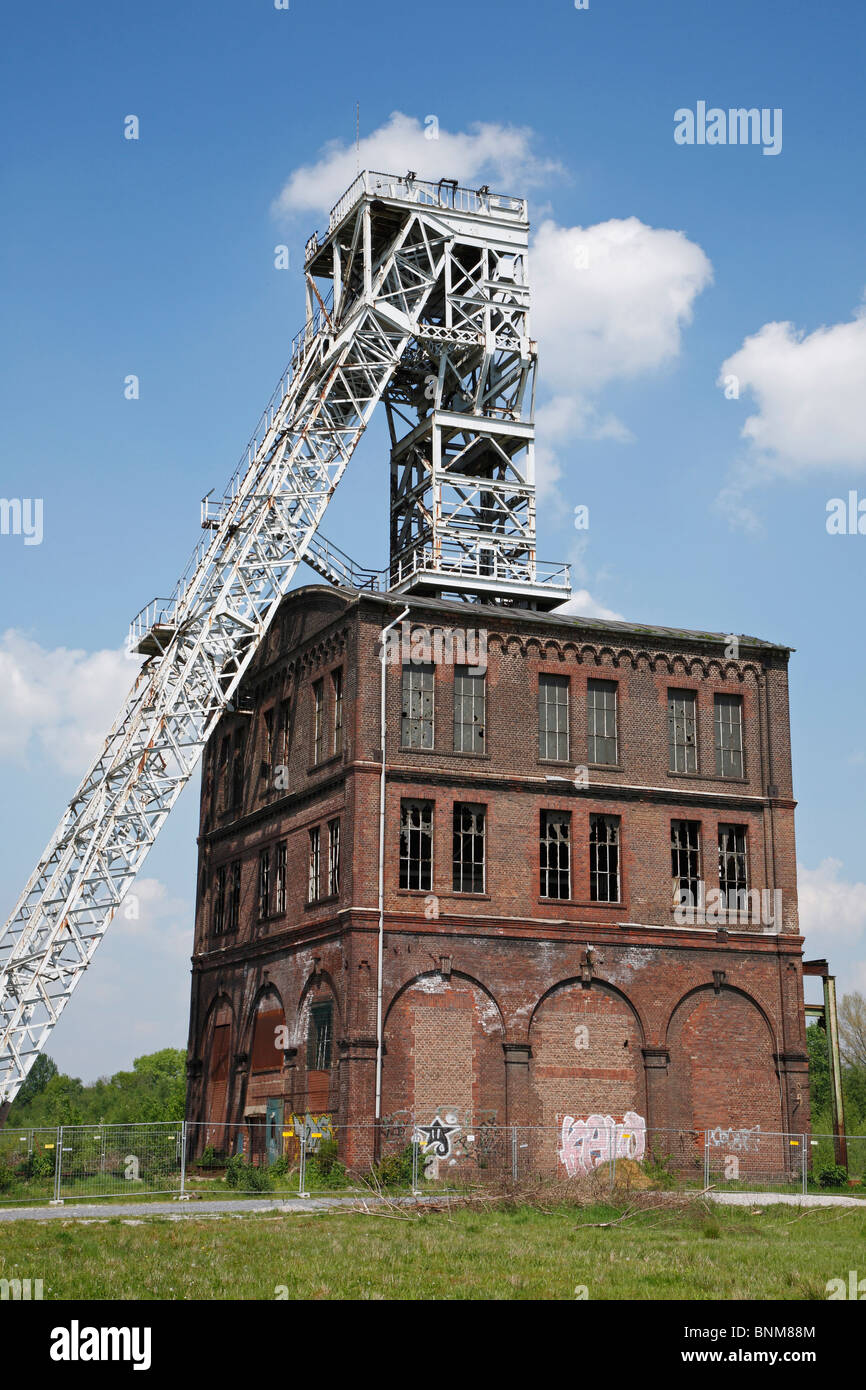 Germania Oberhausen Ruhr Renania settentrionale-Vestfalia Oberhausen-Sterkrade carbone Carbone ex-pit Sterkrade albero Foto Stock