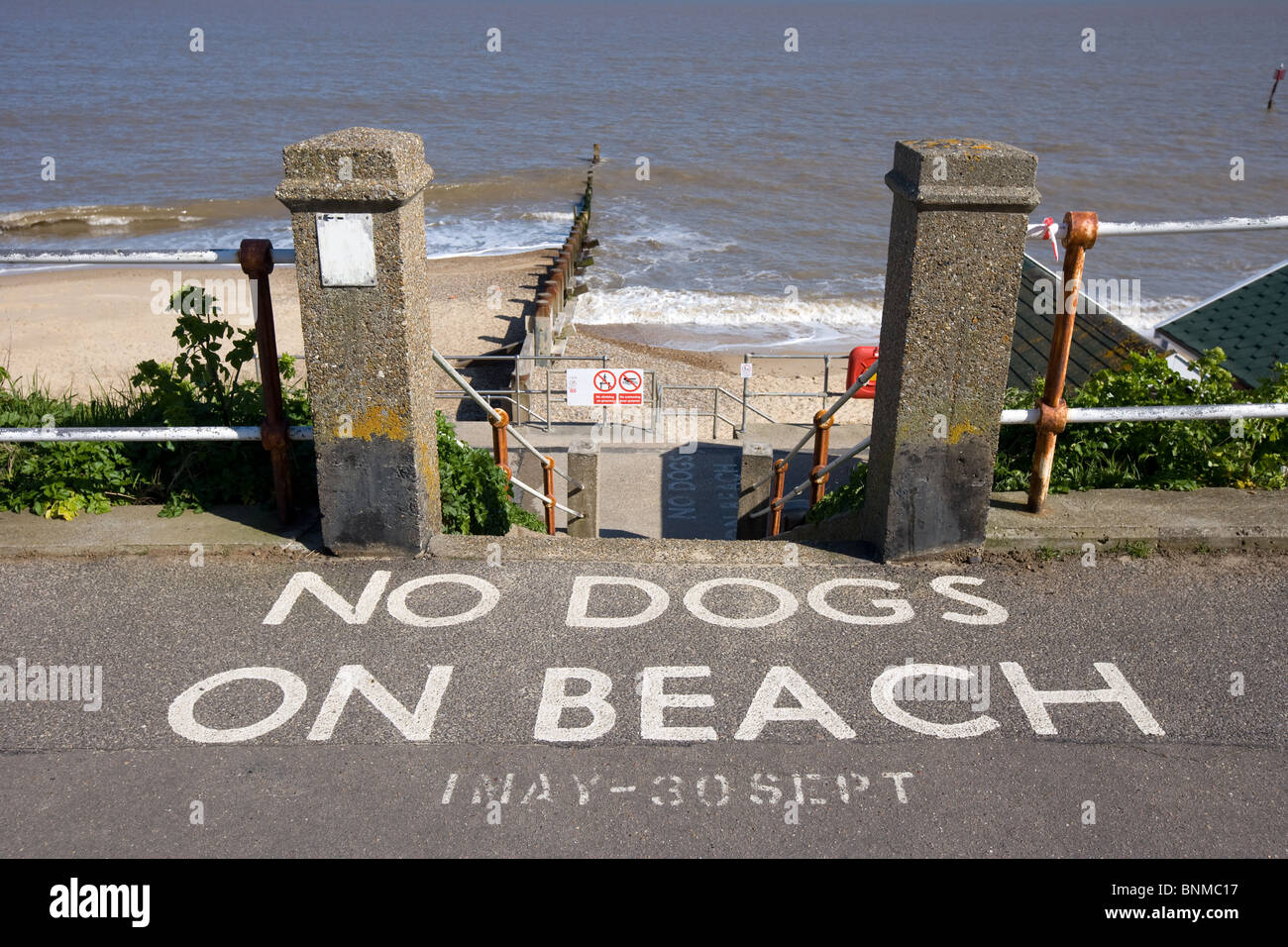 Nessun cane sulla spiaggia segno a Southwold,Suffolk, Inghilterra Foto Stock
