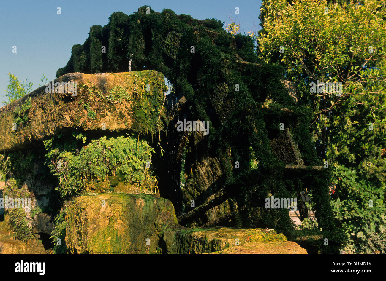 L'Isle sur la Sorgue Francia Provenza Vaucluse pietre waterwheel moss alghe Foto Stock