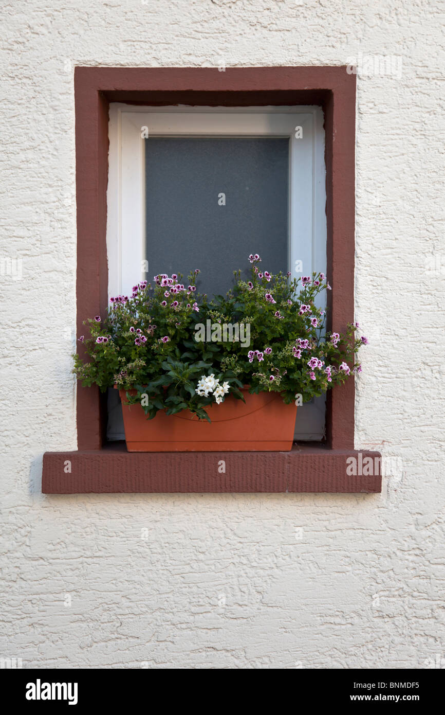 Una finestra e una cassetta per fiori Foto Stock