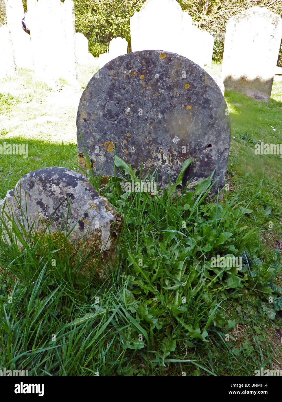 GILBERT tomba bianca del naturalista inglese e assistere alla chiesa di Santa Maria, Selborne, Hanmpshire porta solo le sue iniziali Foto Stock