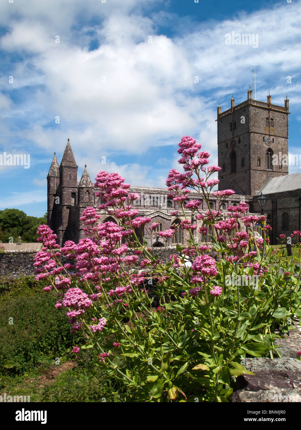 St Davids Cathedral, St Davids City, pembrokeshire Dyfed Regno Unito Galles Foto Stock