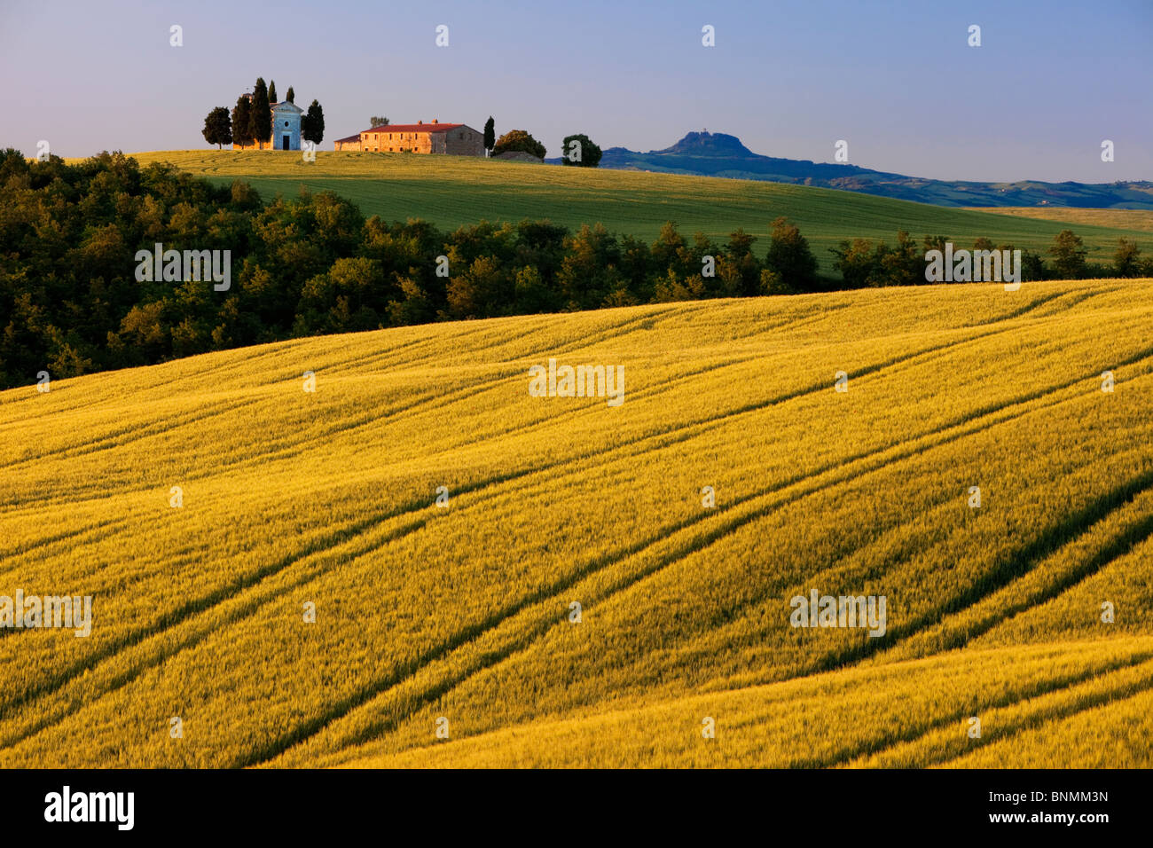 La mattina presto la luce solare sulla Cappella di Vitaleta e i campi di rotolamento della Toscana nei pressi di San Quirico d'Orcia Foto Stock