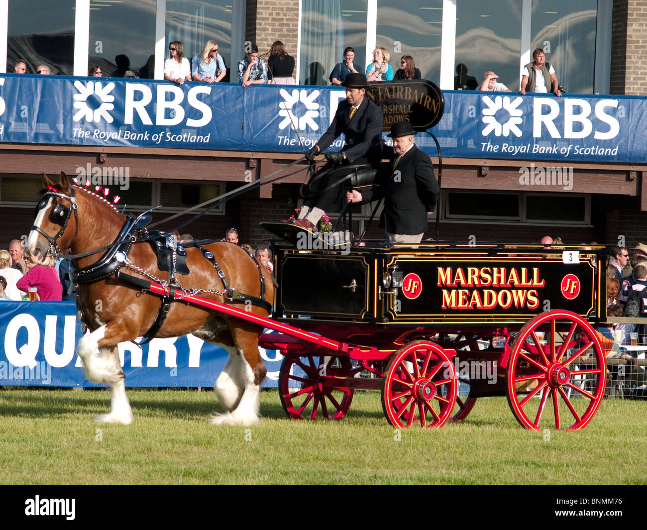 Clydesdale 'pesante cavallo' e carrello al Royal Highland Show Edinburgh 2010 Foto Stock