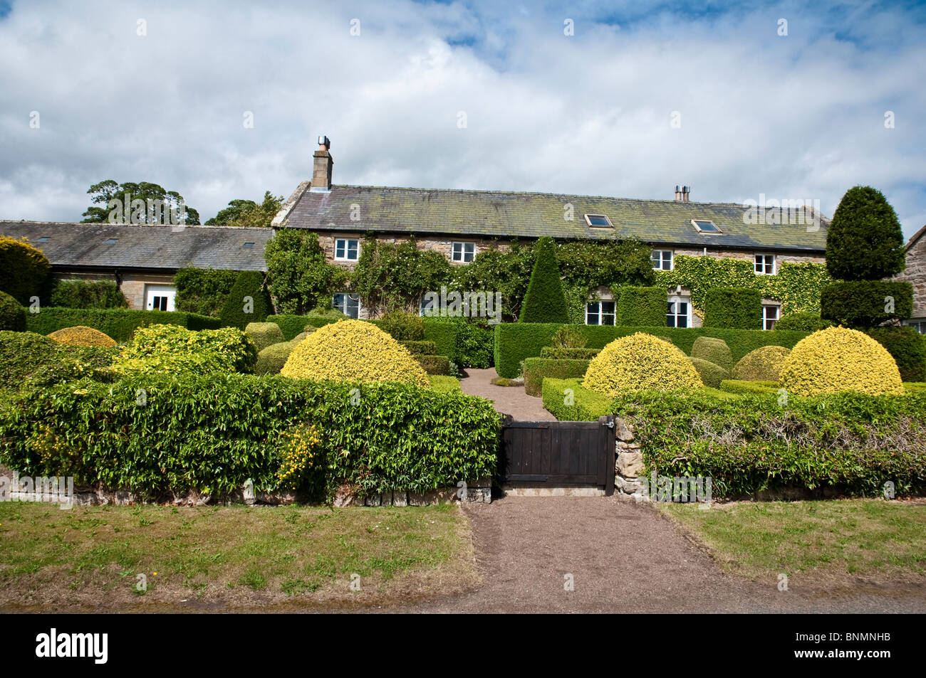 Herterton House Garden Nr Cambo, Northumberland, Regno Unito - Anteriore Topiaria da formale giardino. Foto Stock