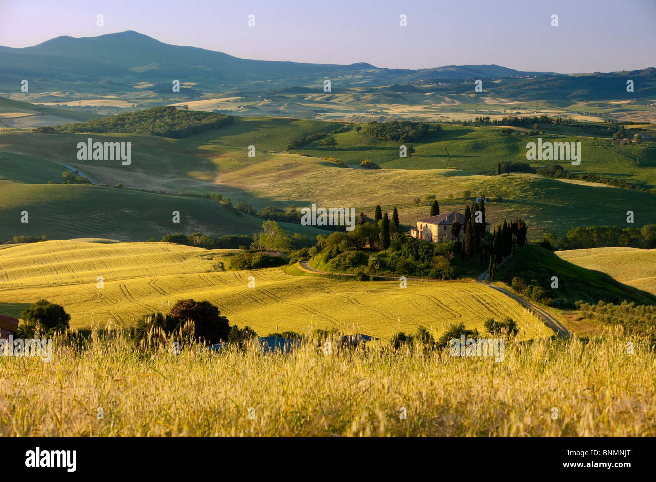 Podere Belvedere e la campagna toscana a sunrise nei pressi di San Quirico d'Orcia, Toscana Italia Foto Stock