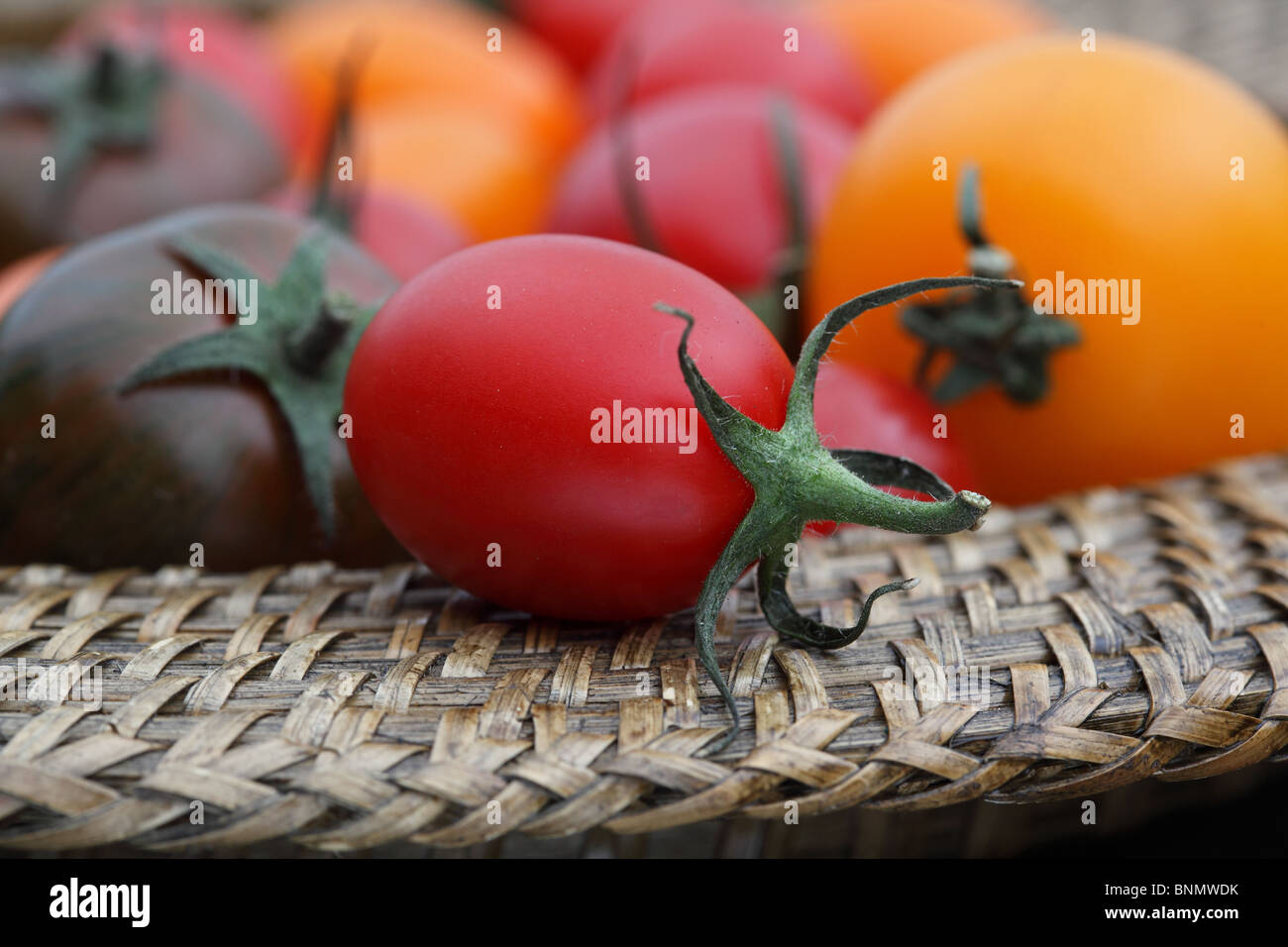 Mix freschi pomodori a colori Foto Stock