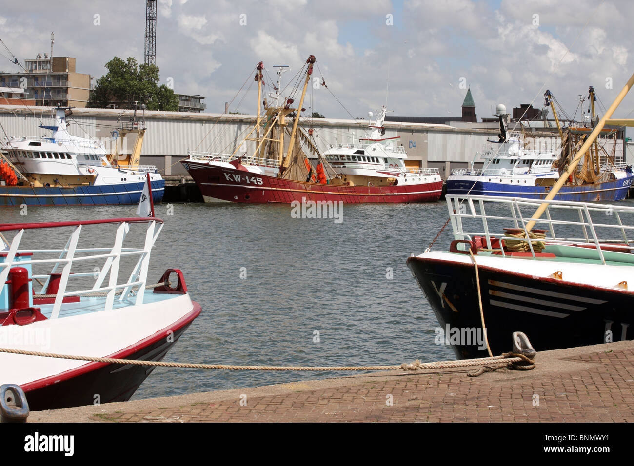 Le navi da pesca ormeggiate nel porto a Ijmuiden all'interno del Paesi Bassi, Europa Foto Stock