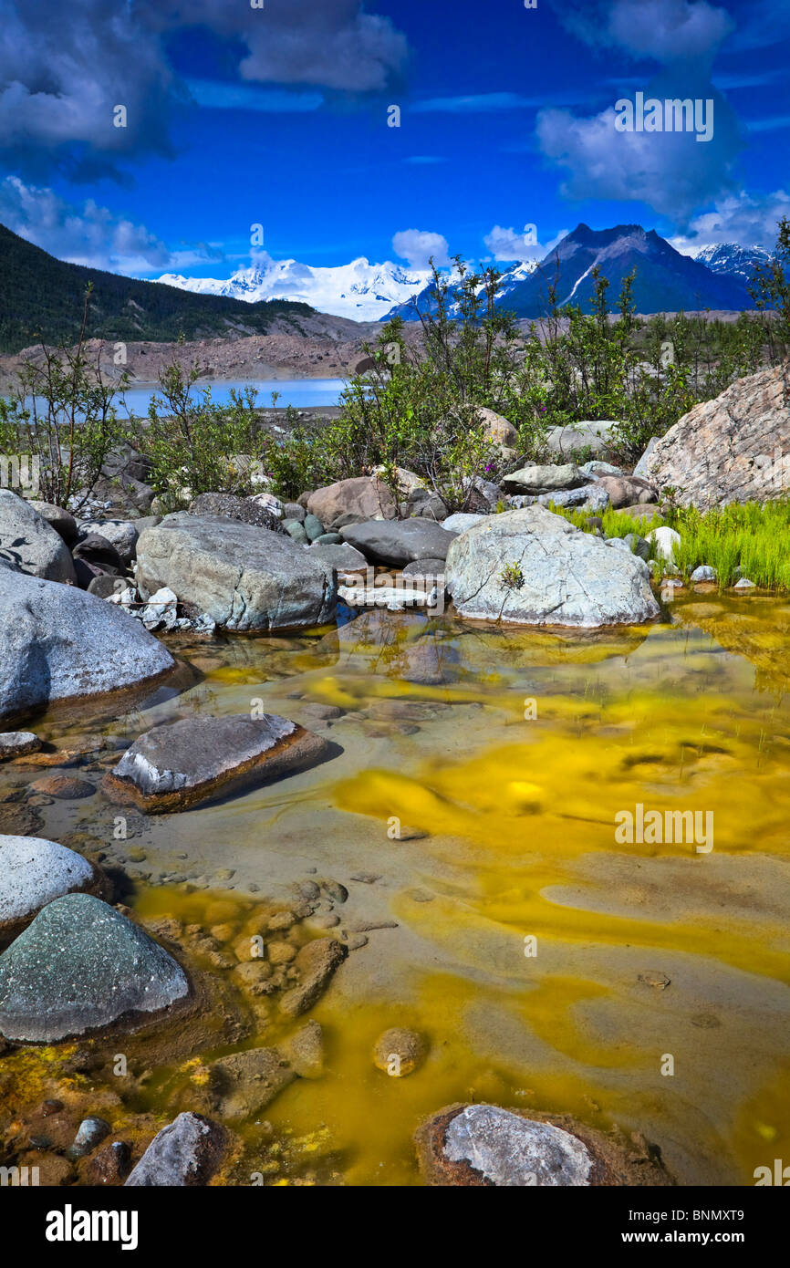 Moss & creek dal ghiacciaio Kennicott con Donoho, Atna e rime picco in background, Wrangell St. Elias National Park, Alaska Foto Stock