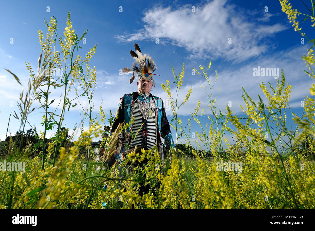 Ballerino tradizionale Stephen giallo Hawk Native American Indian Rapid City South Dakota USA costume Foto Stock