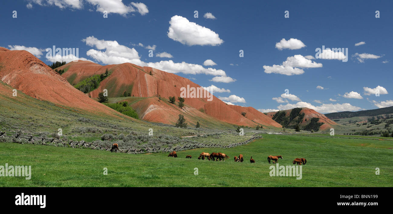 Le colline rosse Gros Ventre Road Grand Teton National Park Wyoming usa colline cavalli Foto Stock