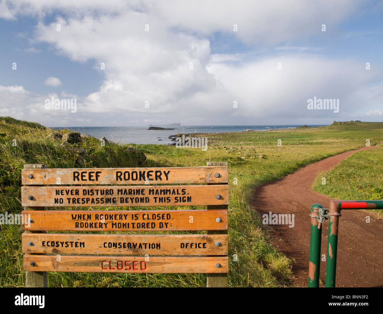 Segno a nord di pelliccia sigillo rookery, Isola di San Paolo, Alaska, estate Foto Stock