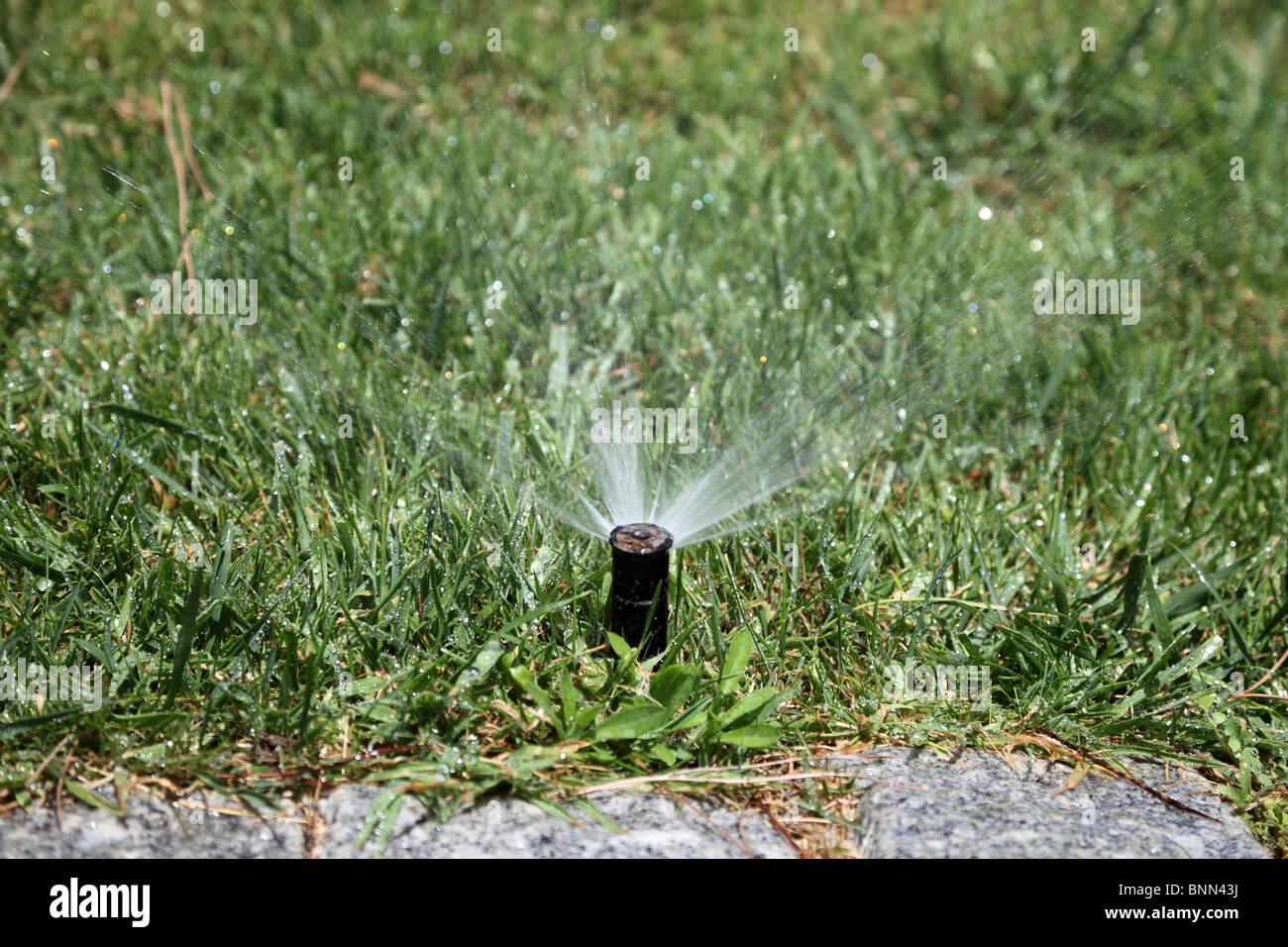 Irrigatore rotante per l'irrigazione del prato Foto Stock