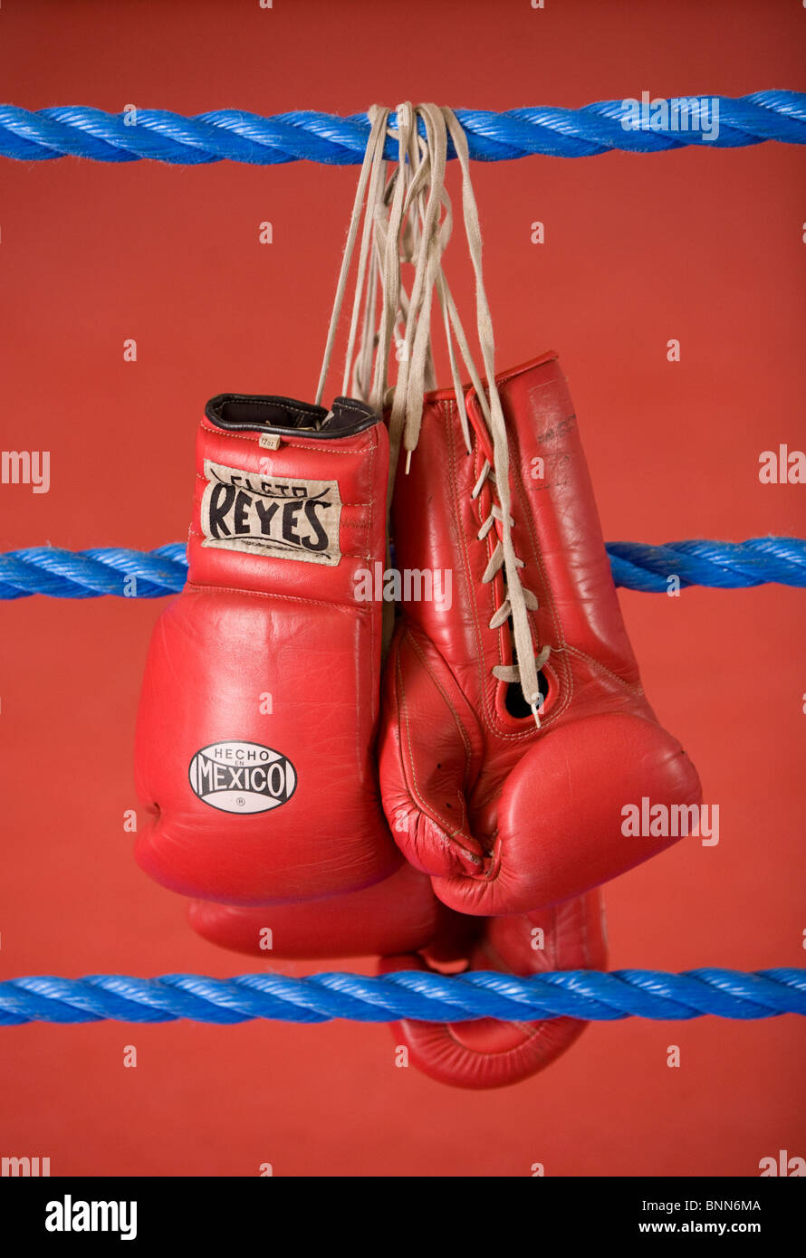 Red Guantoni da boxe da appendere sulle corde di un anello di inscatolamento. Foto di James Boardman Foto Stock