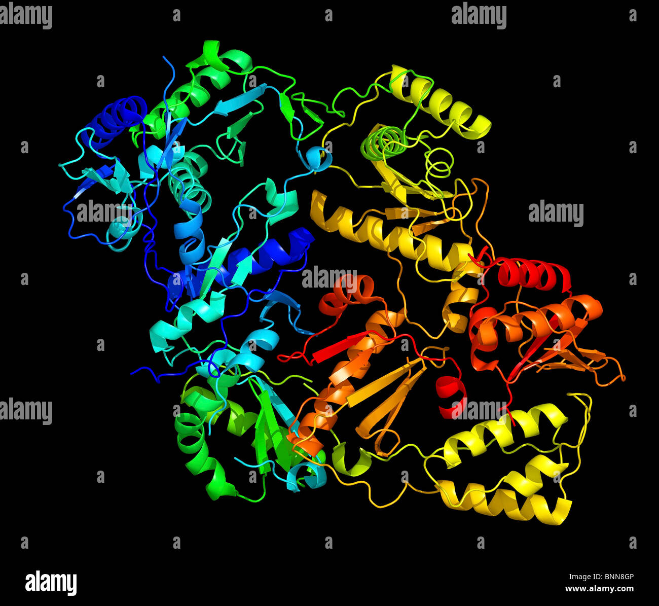 La trascrittasi inversa e un inibitore Foto Stock