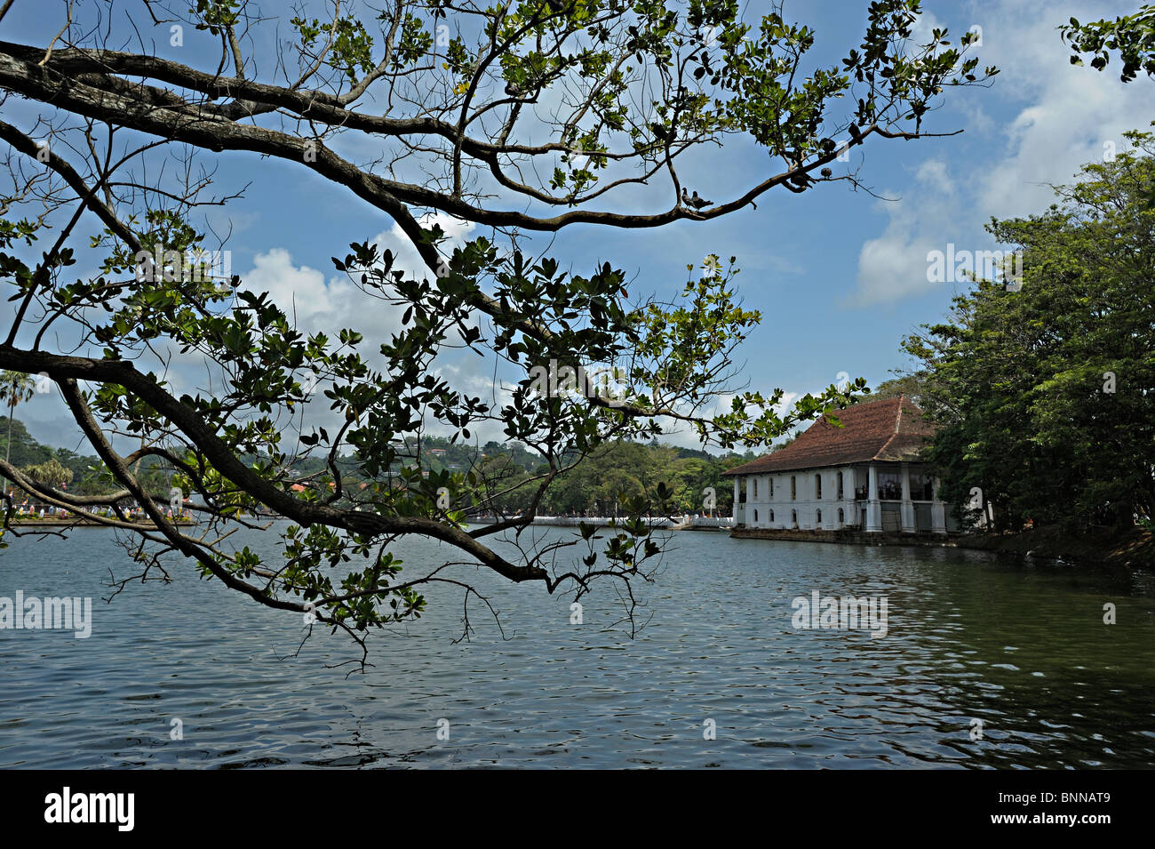 Lago Kandy vicino al Sri Dalada Maligawa o il Tempio della Reliquia del Dente, Kandy, Sri Lanka Foto Stock