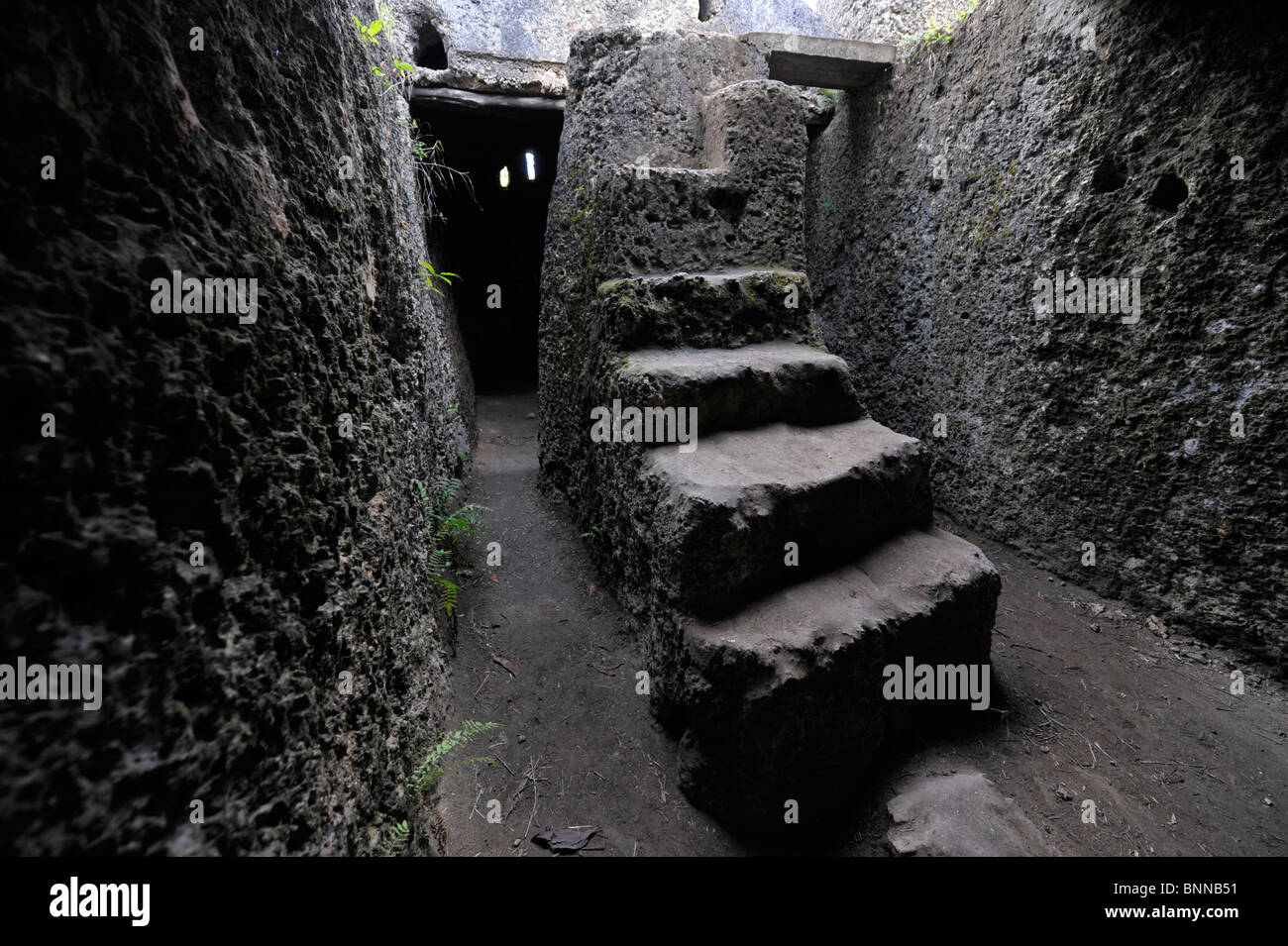 Africa Tanzania Tanzania Zanzibar east coast Mangapwani grotte slave schiavitù stair Foto Stock