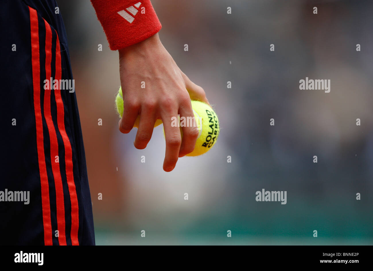 Mano di un ballboy tenendo palla da tennis Foto Stock