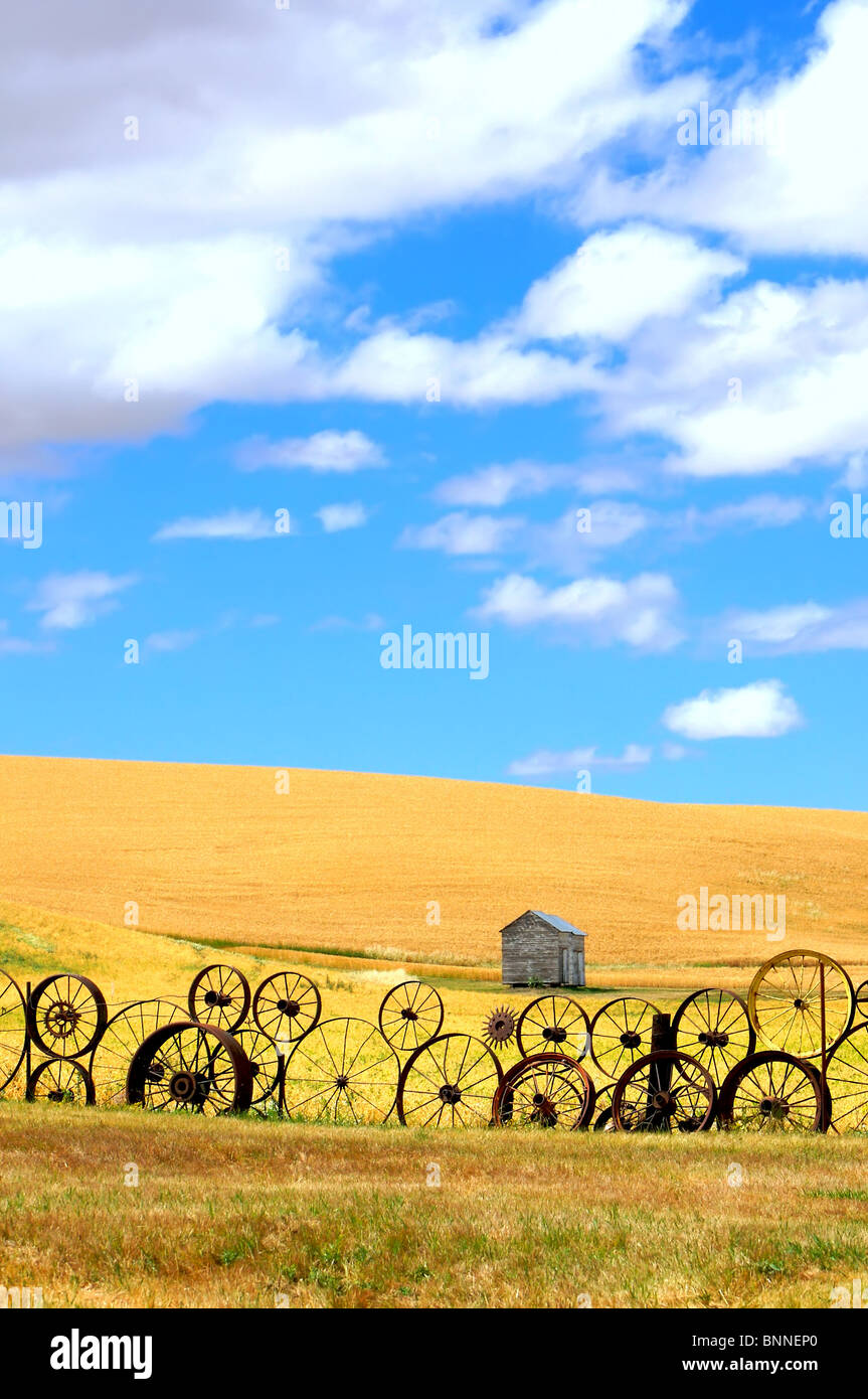 Carro spintore a ruota, campo di grano e nuvole Foto Stock