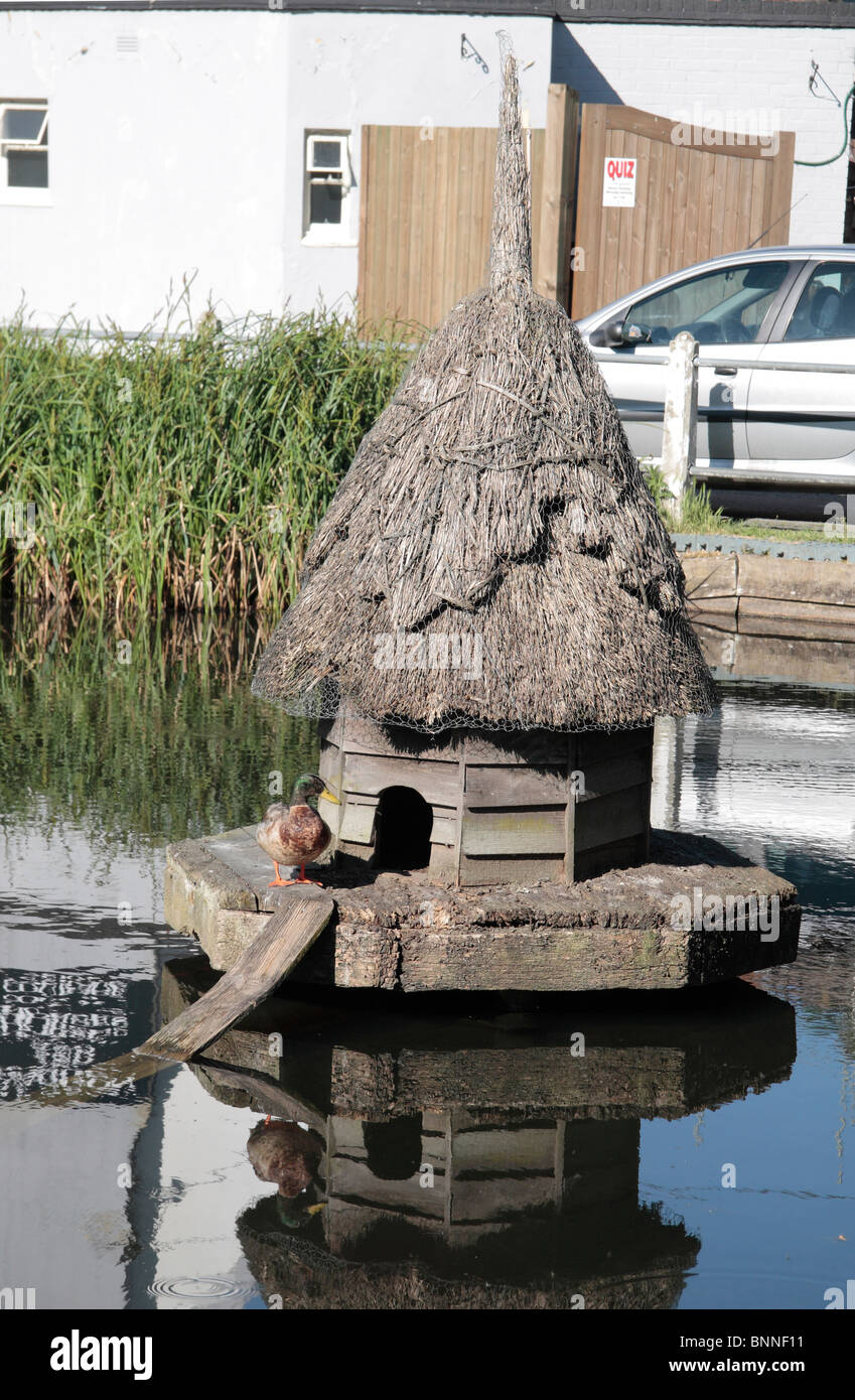 Casa d'anatra e laghetto vicino al centro del grazioso villaggio di Hartley, Wintney, gancio, Hampshire, Regno Unito. Foto Stock