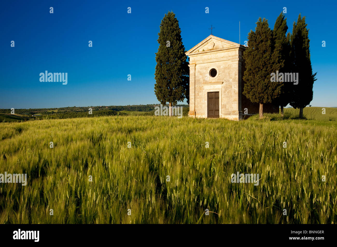 Serata sole sul campo di grano e Cappella di Vitaleta nei pressi di San Quirico d'Orcia, Toscana Italia Foto Stock