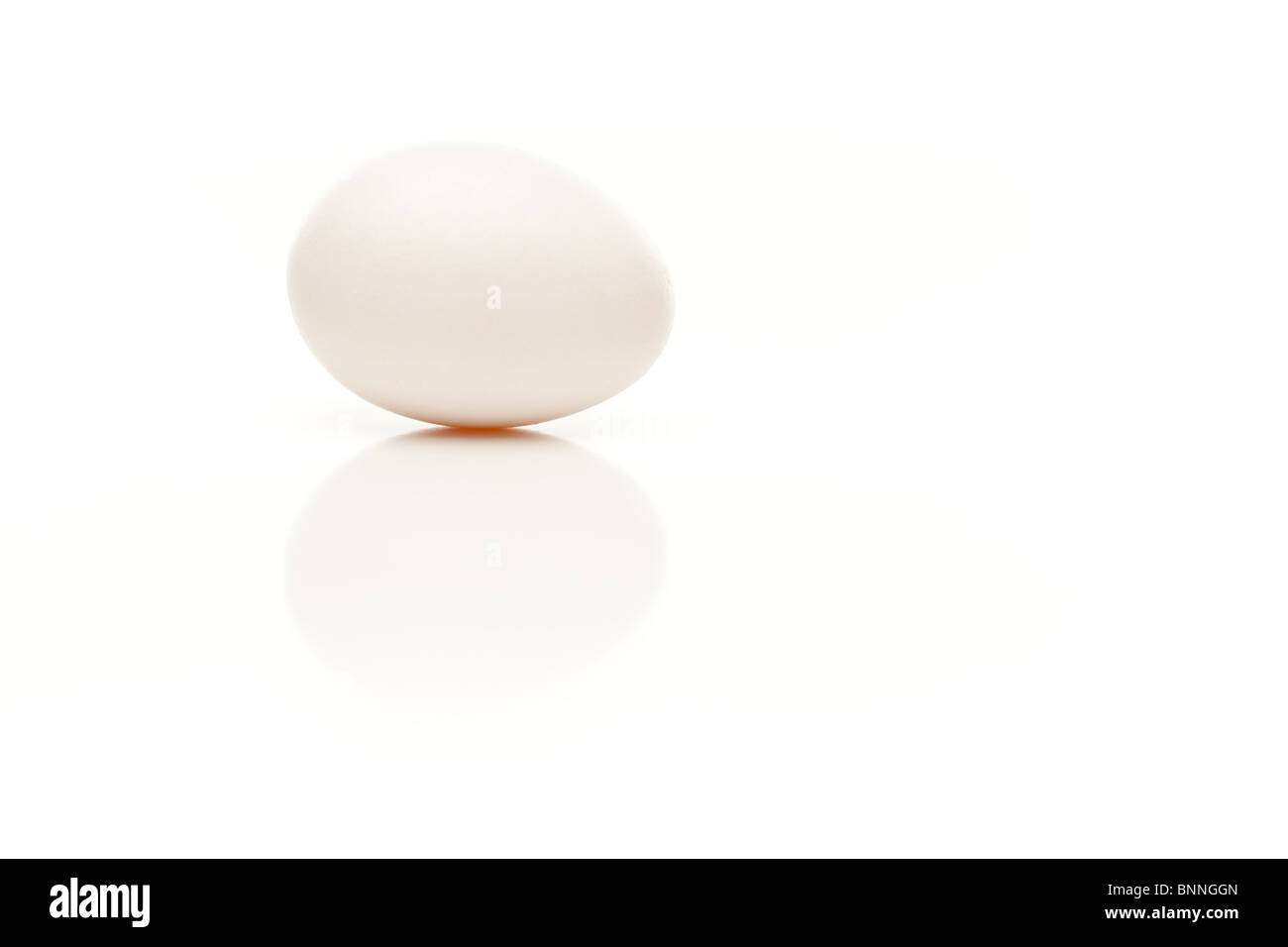 Singolo uovo bianco isolato su uno sfondo bianco. Foto Stock