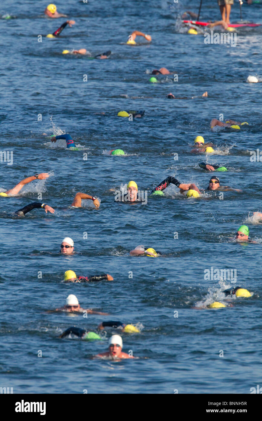 I concorrenti nella prima tappa di un triathlon nuotare nel Lago Lady Bird nel centro di Austin, Texas. Foto Stock