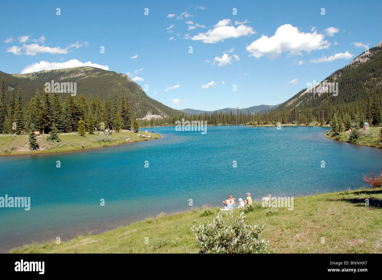 Forgetmenot Pond Alberta Canada Foto Stock