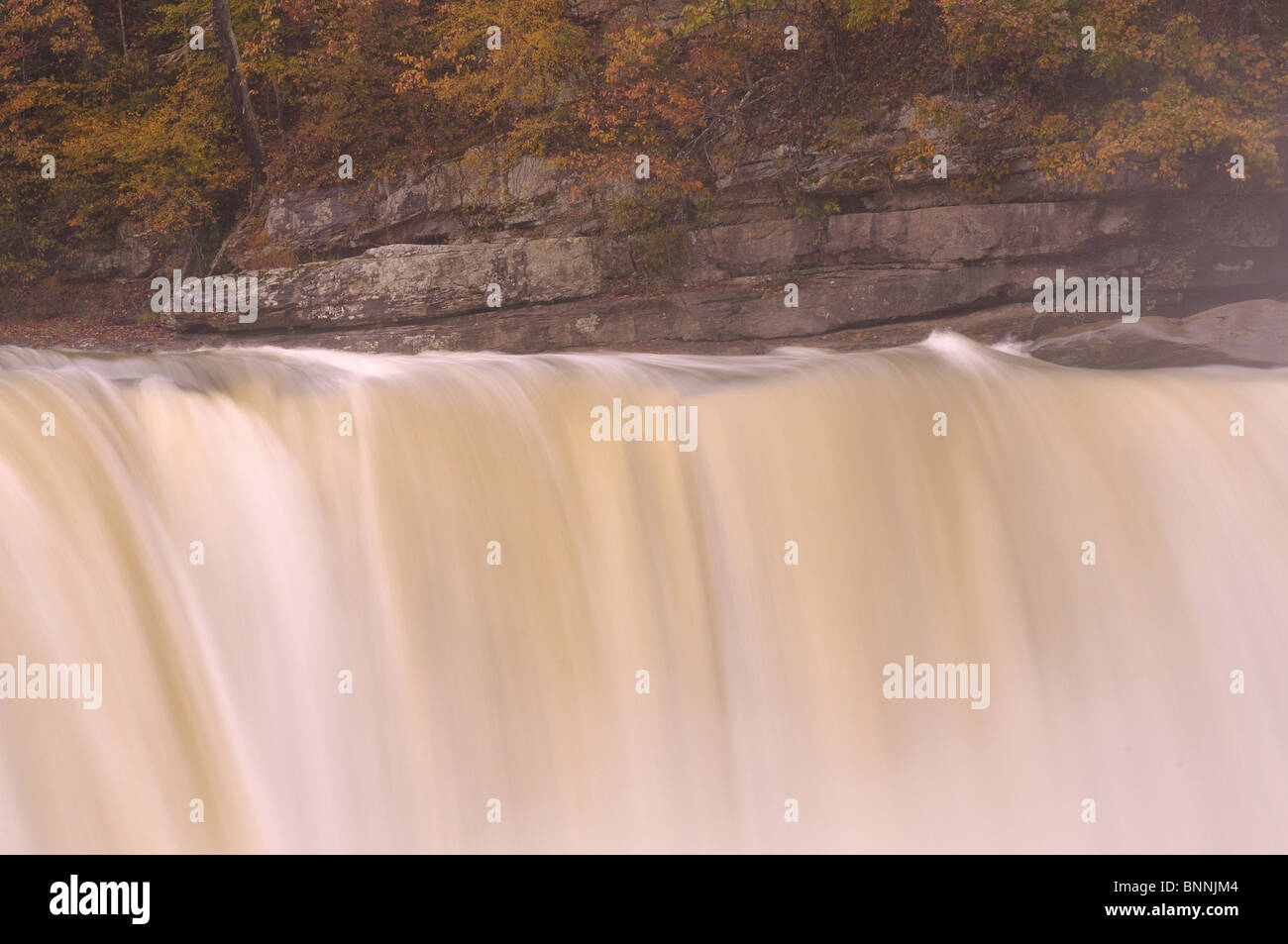 Grande cade Cumberland Falls membro Resort Park Kentucky USA America Stati Uniti d'America cascata Foto Stock