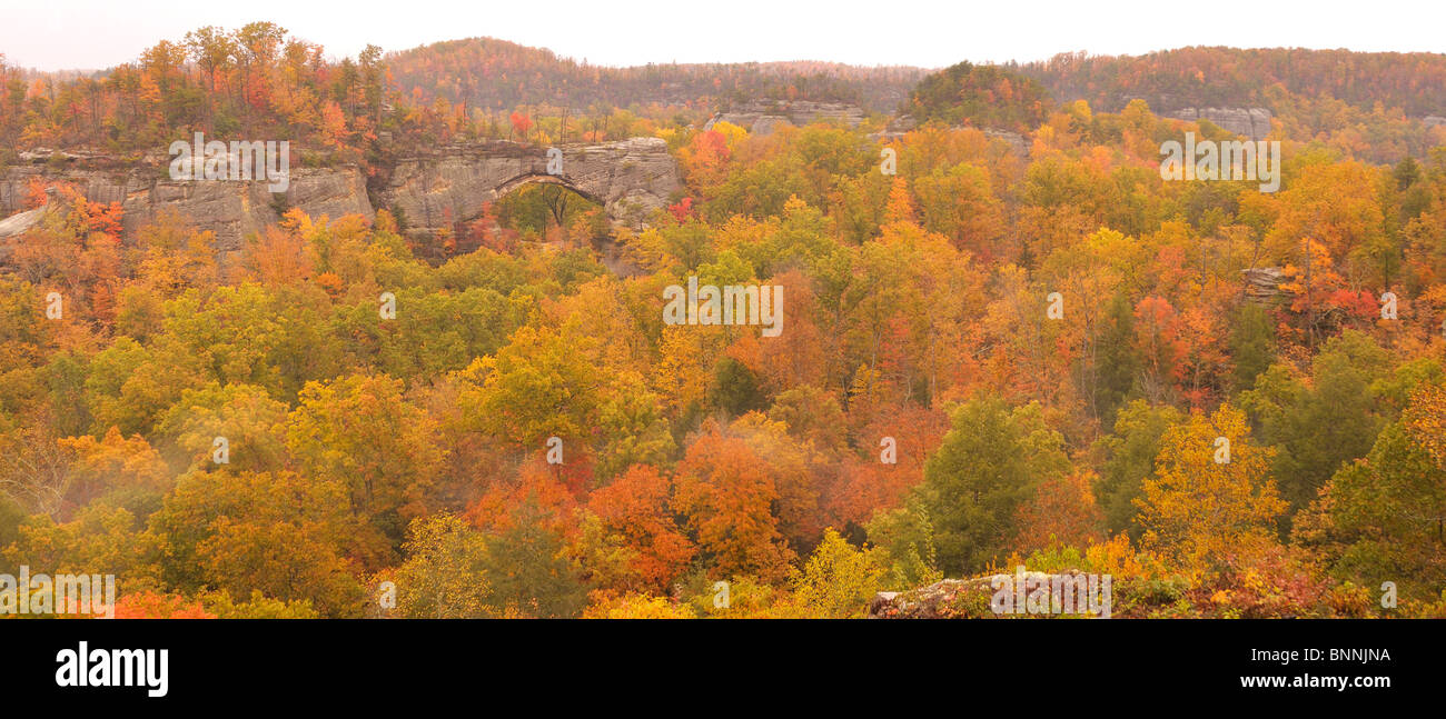Arco Naturale Daniel Boone National Forest Whitley City Kentucky USA America Stati Uniti d'America autumn fall forest Foto Stock
