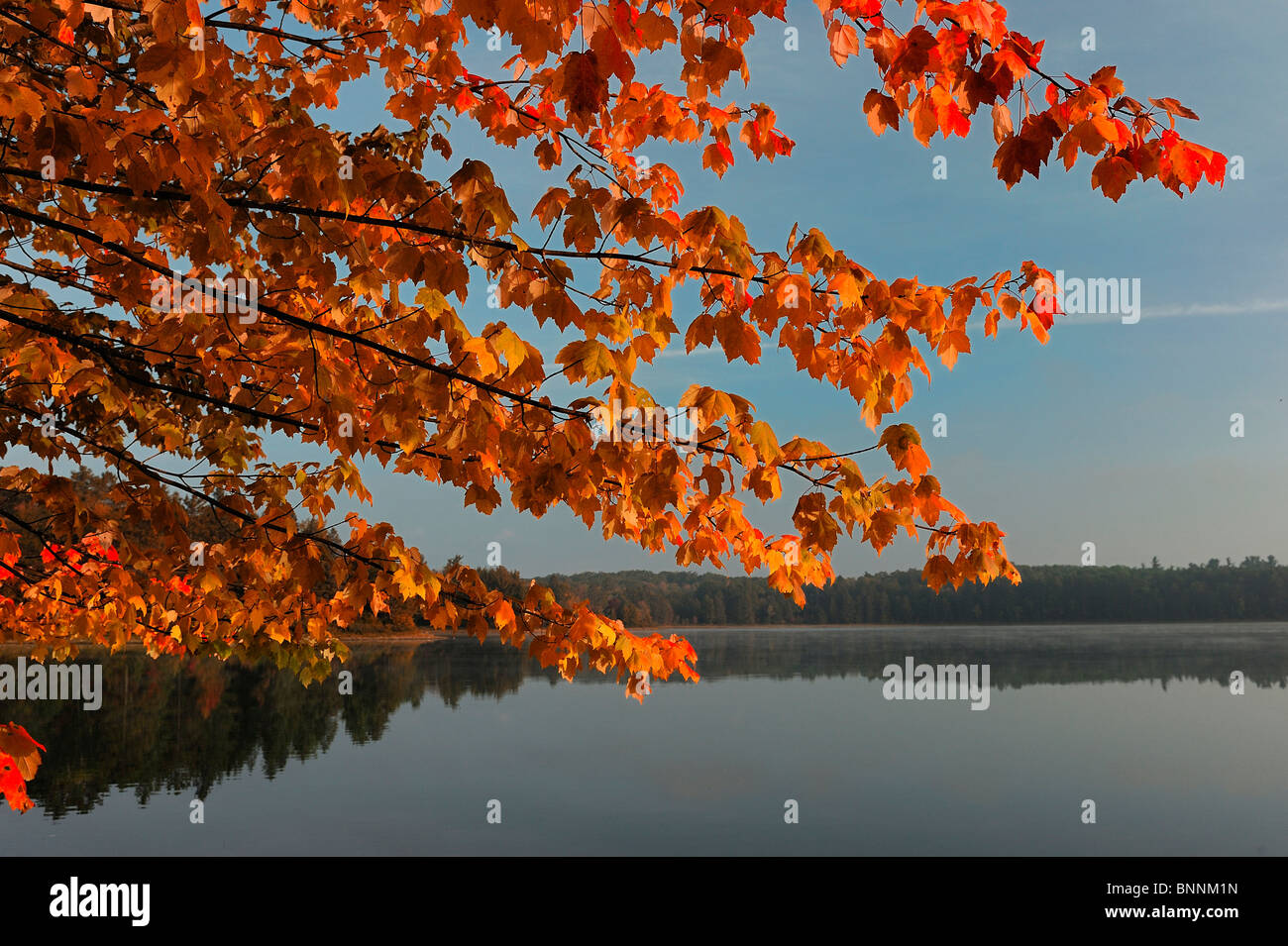 Starrett lago Nord Highland American Legion Forestale dello Stato del Wisconsin USA America Stati Uniti d'America il lago di alberi forestali Foto Stock