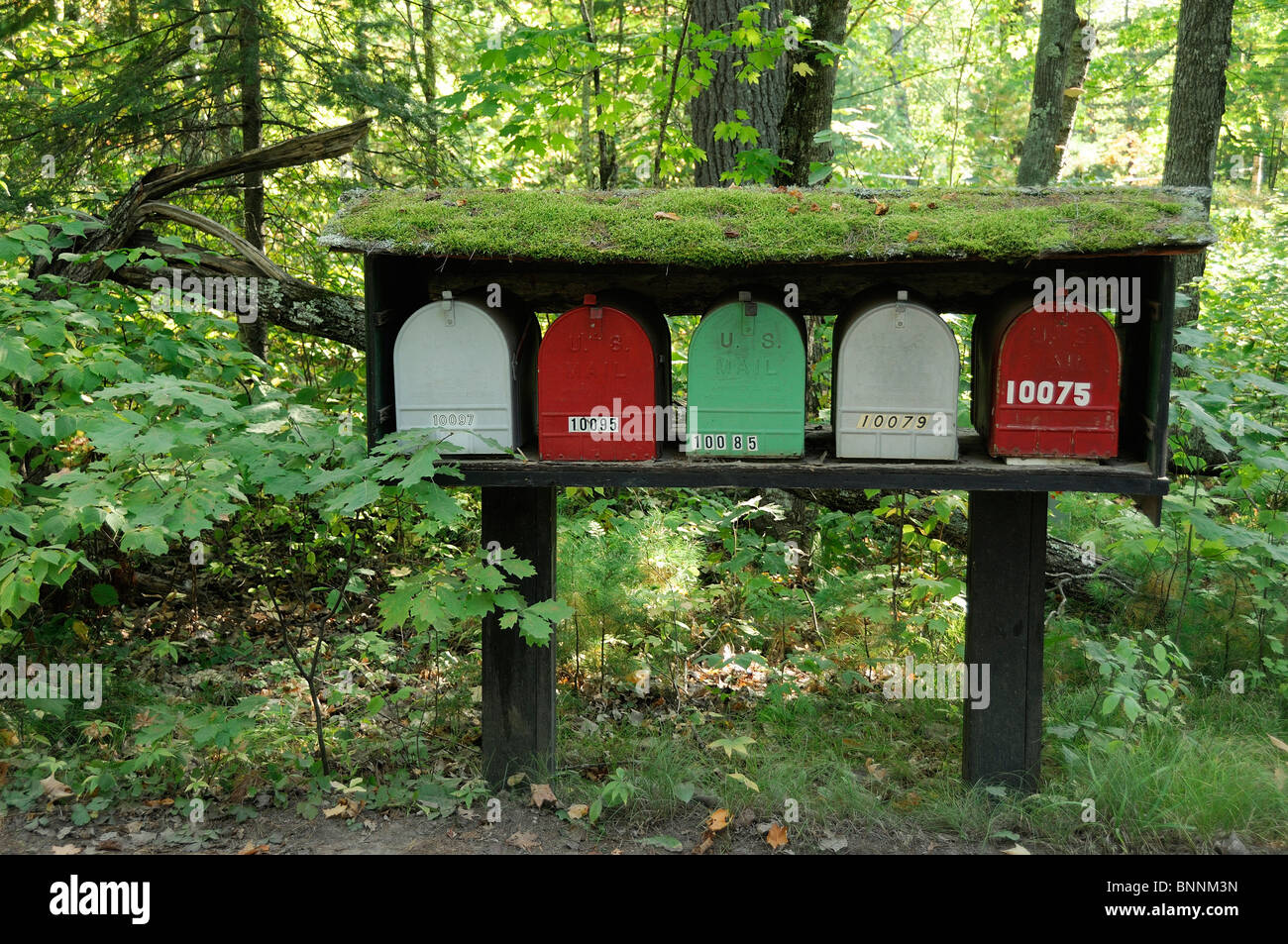 Le caselle di posta Northern Highland American Legion la foresta di stato di giunzione di Boulder Wisconsin USA America Stati Uniti d'America forest Foto Stock