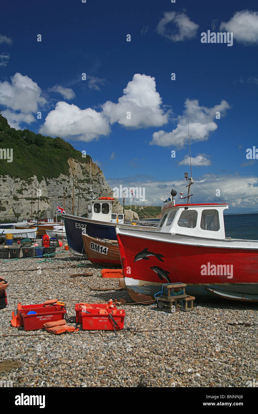 Barche da pesca cazzate fino sulla spiaggia di birra, Devon, Inghilterra, Regno Unito Foto Stock