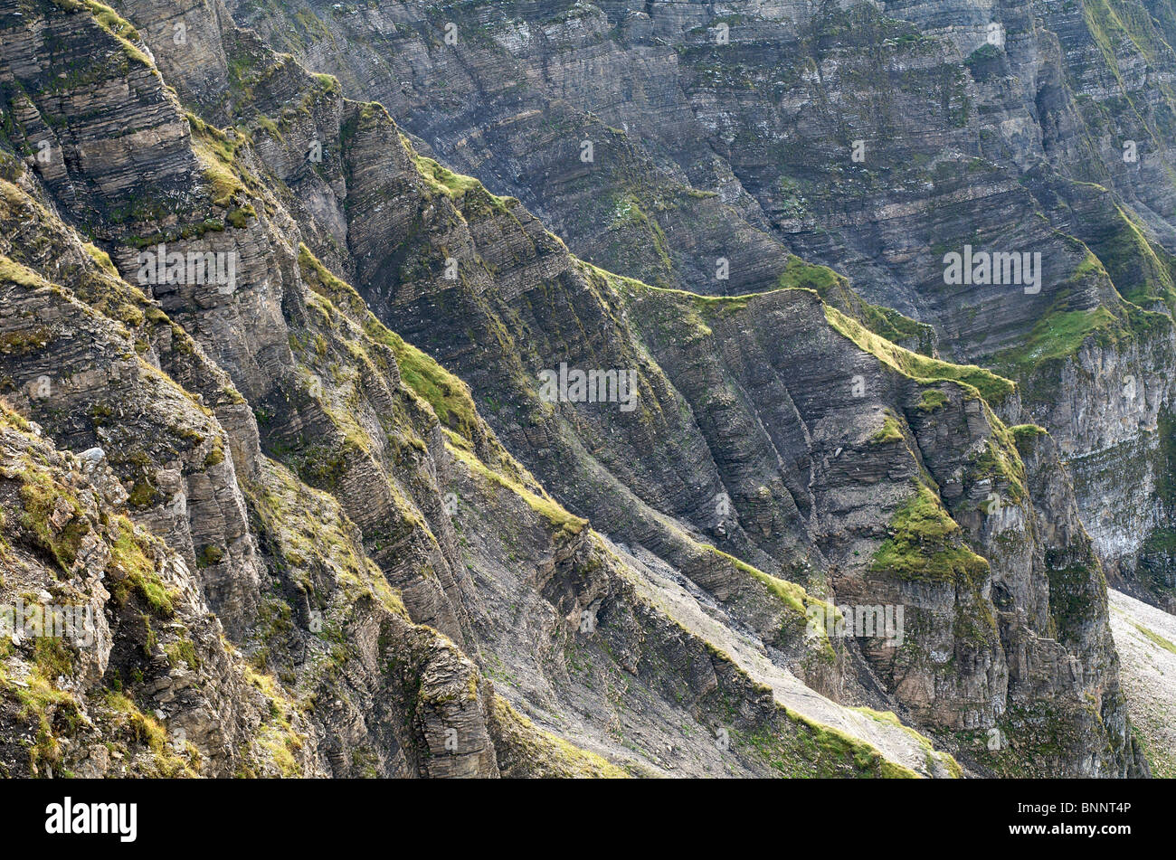 Allgaeu Allgäu Germania ovest il fianco ad alta Ifen Kleinwalsertal Alpi montagne alpine Vorarlberg Austria Foto Stock