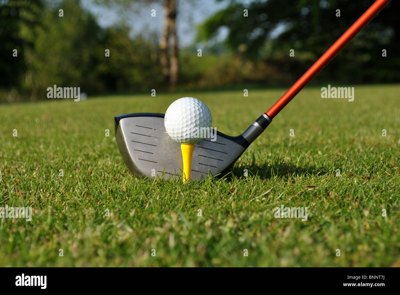Driver tee giallo e bianco pallina da golf Foto Stock