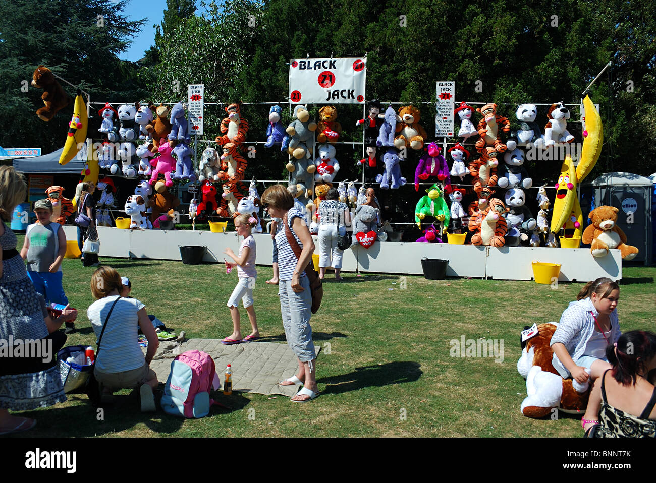 Black Jack in stallo Foto Stock