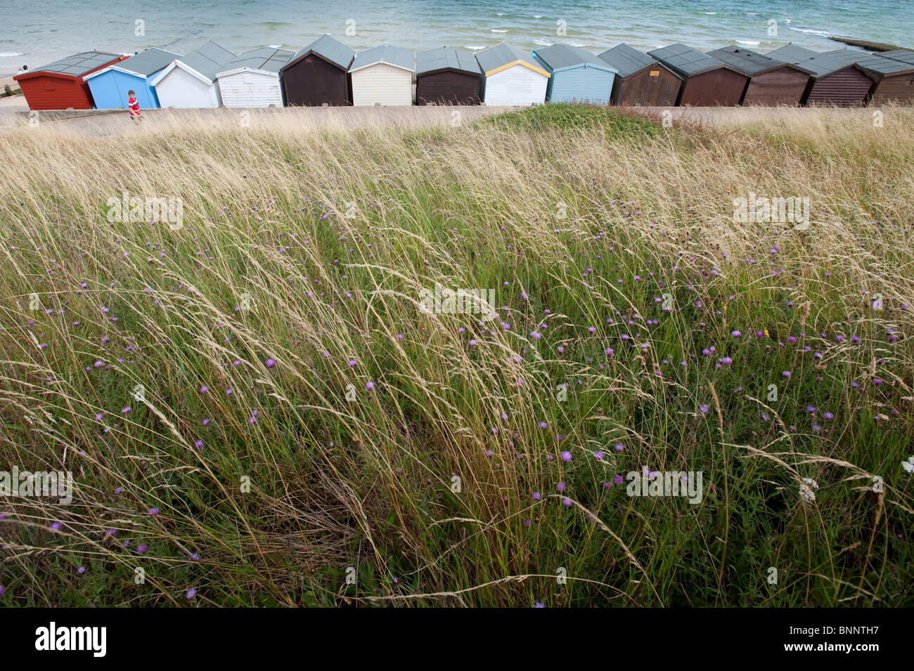 Dipinto di cabine sulla spiaggia, a Frinton on-Mare, Essex Foto Stock