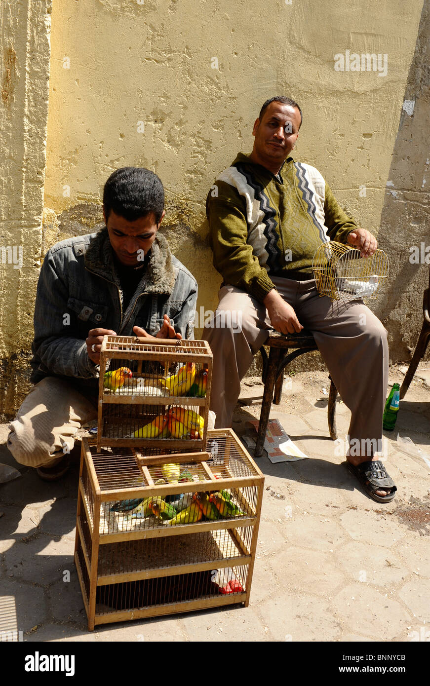 Due egiziani vendita parrocchetti, mercato di uccelli vicino alla cittadella, Il Cairo, Egitto Foto Stock